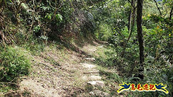 雙溪慈安宮土地公嶺保甲路青雲古道遠景古道O形 (85).jpg