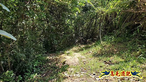 雙溪慈安宮土地公嶺保甲路青雲古道遠景古道O形 (87).jpg