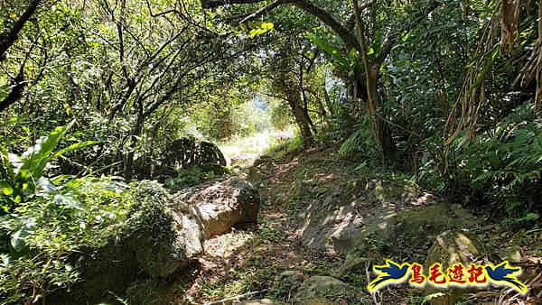 雙溪慈安宮土地公嶺保甲路青雲古道遠景古道O形 (89).jpg