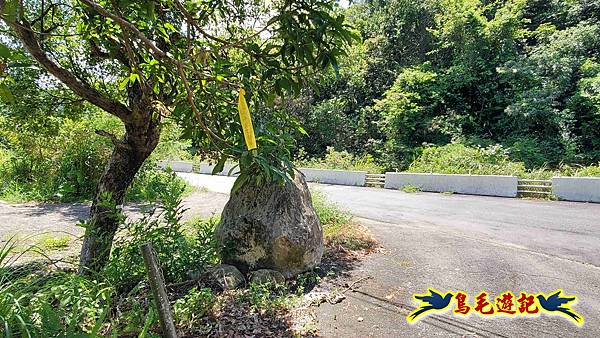 雙溪慈安宮土地公嶺保甲路青雲古道遠景古道O形 (98).jpg