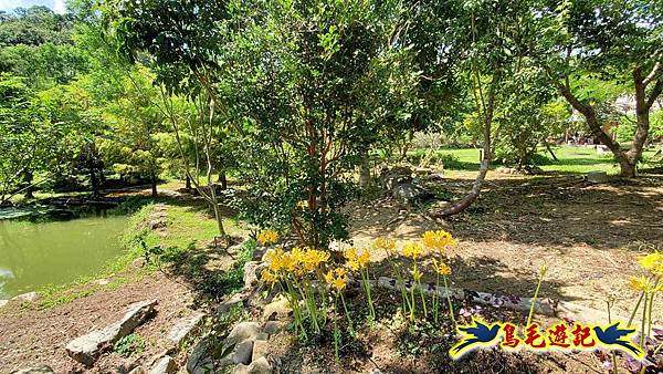 雙溪慈安宮土地公嶺保甲路青雲古道遠景古道O形 (97).jpg