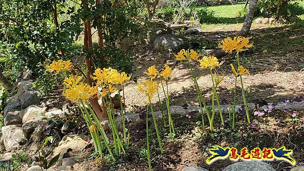 雙溪慈安宮土地公嶺保甲路青雲古道遠景古道O形 (96).jpg