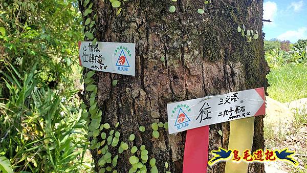 雙溪慈安宮土地公嶺保甲路青雲古道遠景古道O形 (99).jpg