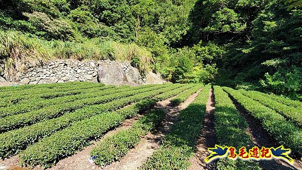 枋山坑古道-中坑頭土地公方向碑-闊瀬越嶺古道O形 (7).jpg