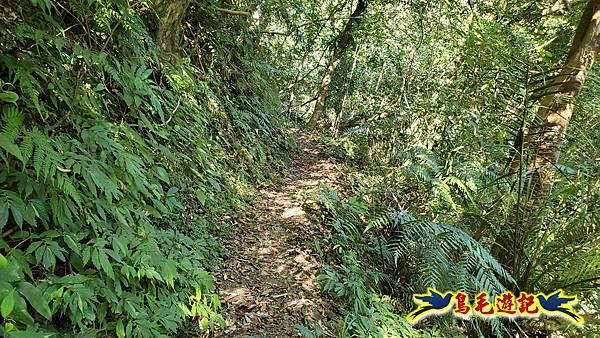 枋山坑古道-中坑頭土地公方向碑-闊瀬越嶺古道O形 (12).jpg