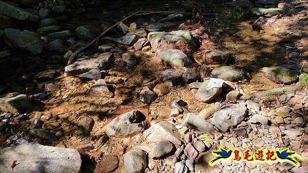 枋山坑古道-中坑頭土地公方向碑-闊瀬越嶺古道O形 (14).jpg