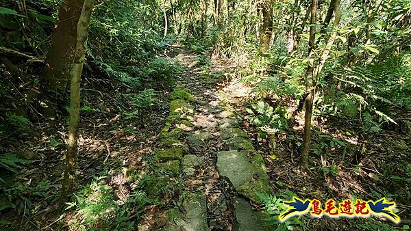 枋山坑古道-中坑頭土地公方向碑-闊瀬越嶺古道O形 (13).jpg