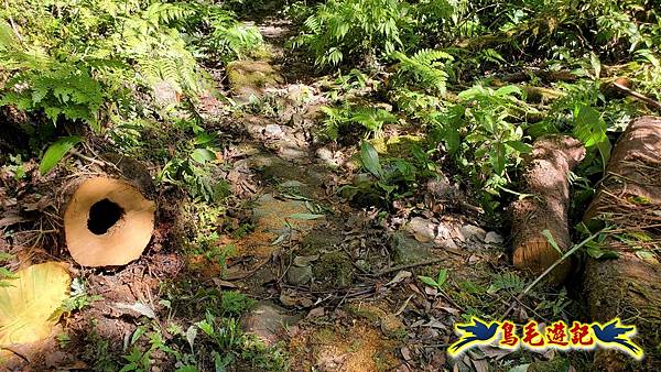 枋山坑古道-中坑頭土地公方向碑-闊瀬越嶺古道O形 (15).jpg