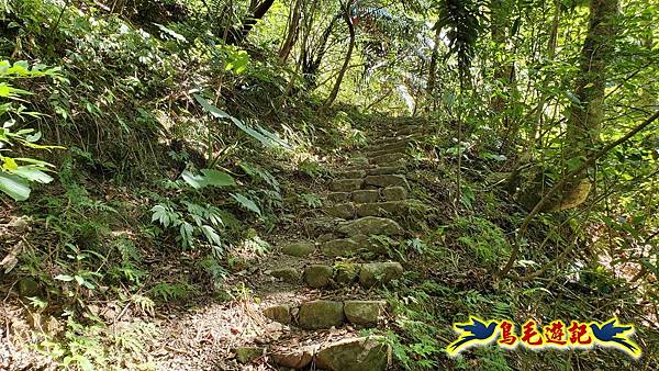 枋山坑古道-中坑頭土地公方向碑-闊瀬越嶺古道O形 (17).jpg