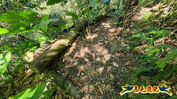 枋山坑古道-中坑頭土地公方向碑-闊瀬越嶺古道O形 (18).jpg