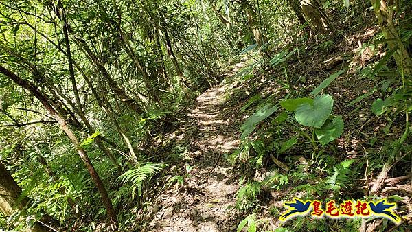 枋山坑古道-中坑頭土地公方向碑-闊瀬越嶺古道O形 (16).jpg