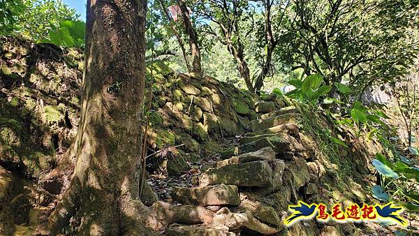 枋山坑古道-中坑頭土地公方向碑-闊瀬越嶺古道O形 (24).jpg