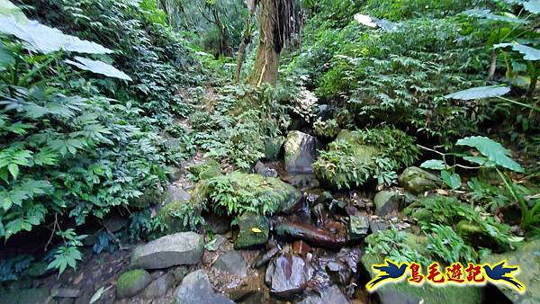 枋山坑古道-中坑頭土地公方向碑-闊瀬越嶺古道O形 (22).jpg