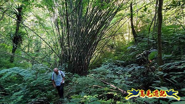 枋山坑古道-中坑頭土地公方向碑-闊瀬越嶺古道O形 (19).jpg
