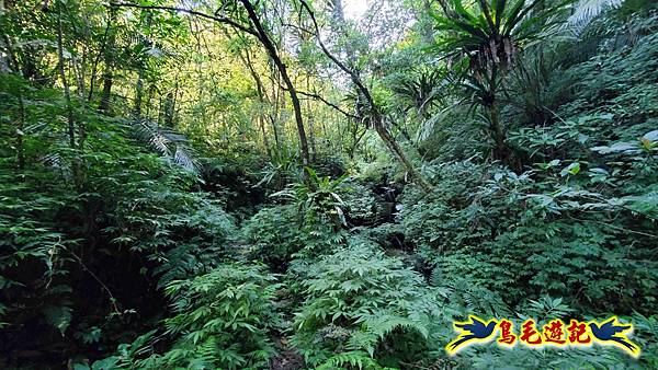 枋山坑古道-中坑頭土地公方向碑-闊瀬越嶺古道O形 (20).jpg