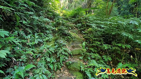 枋山坑古道-中坑頭土地公方向碑-闊瀬越嶺古道O形 (23).jpg