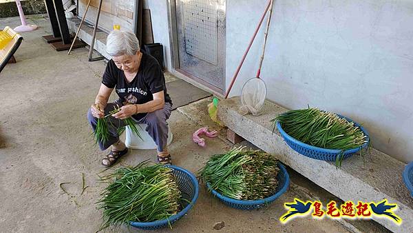 枋山坑古道-中坑頭土地公方向碑-闊瀬越嶺古道O形 (27).jpg