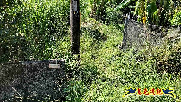 枋山坑古道-中坑頭土地公方向碑-闊瀬越嶺古道O形 (31).jpg