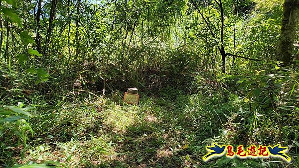 枋山坑古道-中坑頭土地公方向碑-闊瀬越嶺古道O形 (32).jpg