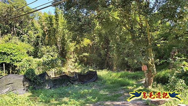 枋山坑古道-中坑頭土地公方向碑-闊瀬越嶺古道O形 (38).jpg