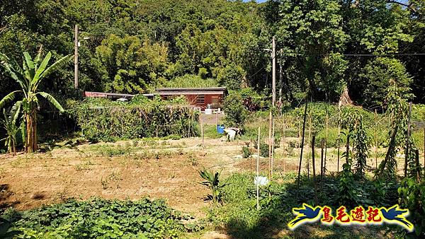 枋山坑古道-中坑頭土地公方向碑-闊瀬越嶺古道O形 (37).jpg