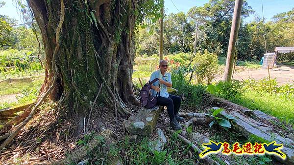枋山坑古道-中坑頭土地公方向碑-闊瀬越嶺古道O形 (40).jpg