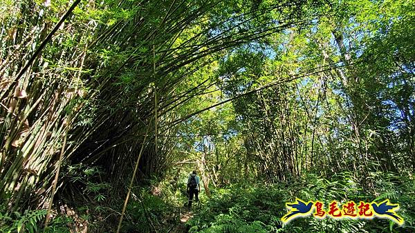 枋山坑古道-中坑頭土地公方向碑-闊瀬越嶺古道O形 (44).jpg