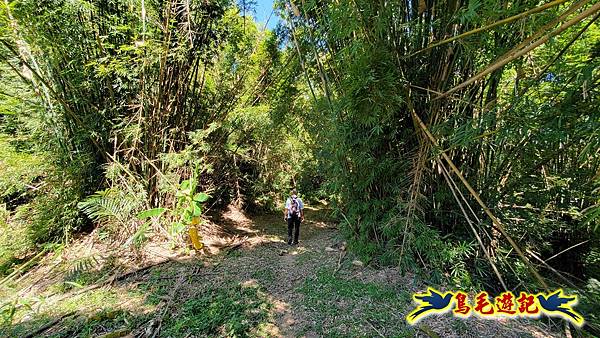 枋山坑古道-中坑頭土地公方向碑-闊瀬越嶺古道O形 (43).jpg
