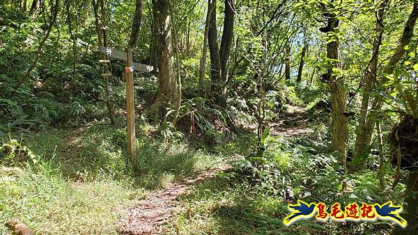 枋山坑古道-中坑頭土地公方向碑-闊瀬越嶺古道O形 (46).jpg