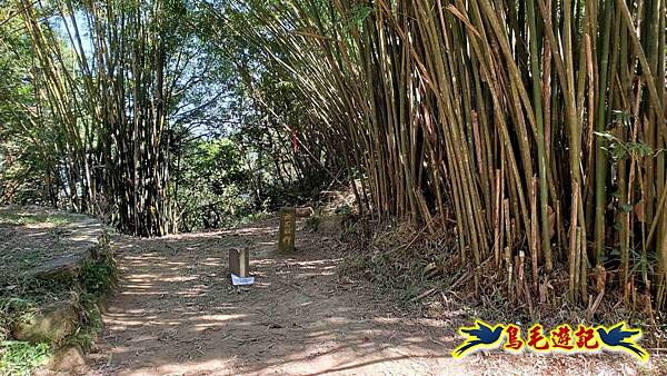 枋山坑古道-中坑頭土地公方向碑-闊瀬越嶺古道O形 (47).jpg