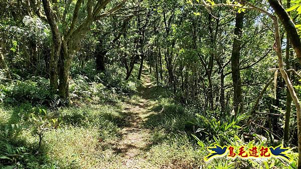 枋山坑古道-中坑頭土地公方向碑-闊瀬越嶺古道O形 (60).jpg
