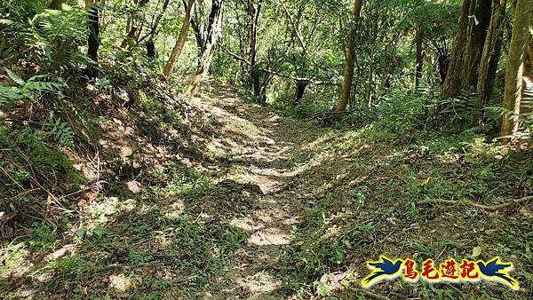 枋山坑古道-中坑頭土地公方向碑-闊瀬越嶺古道O形 (63).jpg