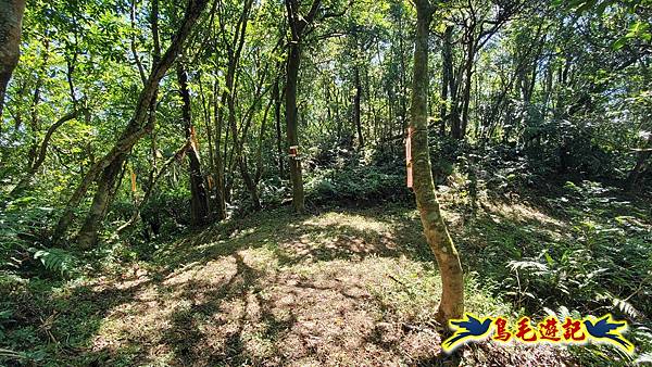 枋山坑古道-中坑頭土地公方向碑-闊瀬越嶺古道O形 (61).jpg