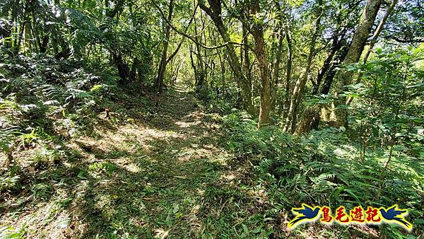 枋山坑古道-中坑頭土地公方向碑-闊瀬越嶺古道O形 (64).jpg