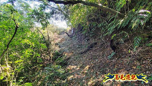 枋山坑古道-中坑頭土地公方向碑-闊瀬越嶺古道O形 (67).jpg