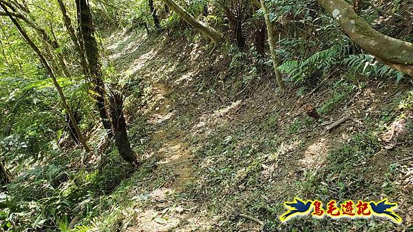 枋山坑古道-中坑頭土地公方向碑-闊瀬越嶺古道O形 (66).jpg