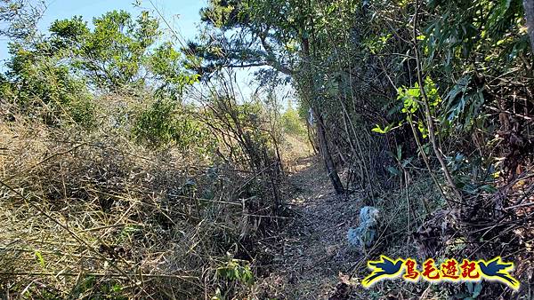 枋山坑古道-中坑頭土地公方向碑-闊瀬越嶺古道O形 (68).jpg