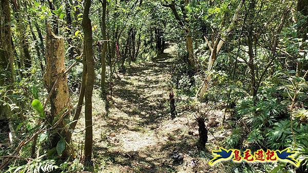 枋山坑古道-中坑頭土地公方向碑-闊瀬越嶺古道O形 (65).jpg