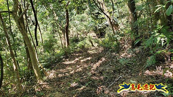 枋山坑古道-中坑頭土地公方向碑-闊瀬越嶺古道O形 (70).jpg