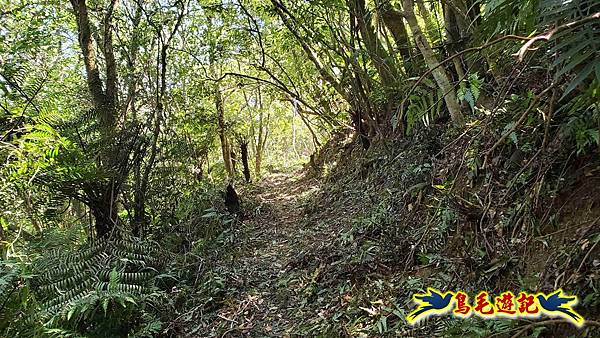 枋山坑古道-中坑頭土地公方向碑-闊瀬越嶺古道O形 (69).jpg