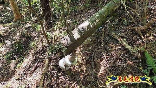 枋山坑古道-中坑頭土地公方向碑-闊瀬越嶺古道O形 (71).jpg