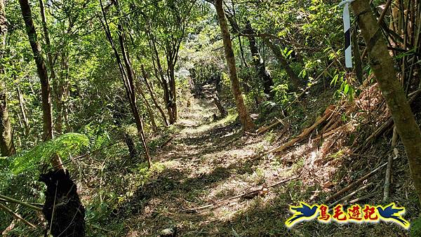 枋山坑古道-中坑頭土地公方向碑-闊瀬越嶺古道O形 (72).jpg