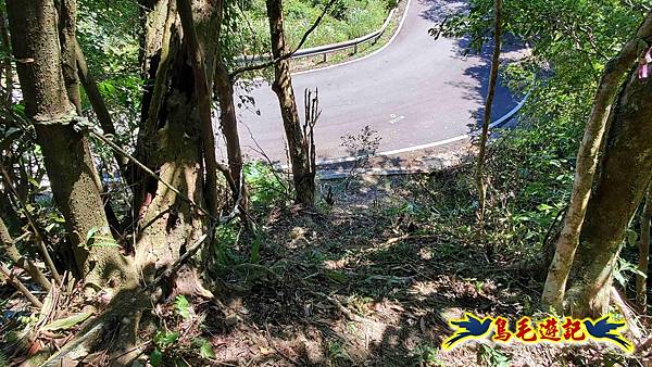 枋山坑古道-中坑頭土地公方向碑-闊瀬越嶺古道O形 (74).jpg