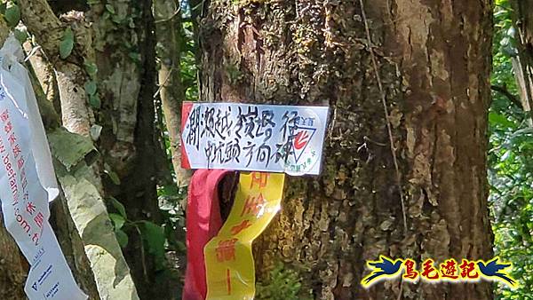 枋山坑古道-中坑頭土地公方向碑-闊瀬越嶺古道O形 (77).jpg