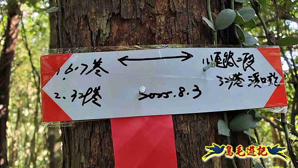 汐止八連小溪環峰連走 (16).jpg