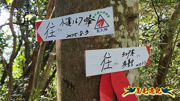 汐止八連小溪環峰連走 (24).jpg