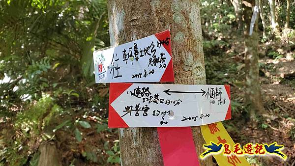 汐止八連小溪環峰連走 (39).jpg