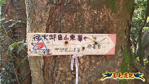 汐止八連小溪環峰連走 (47).jpg