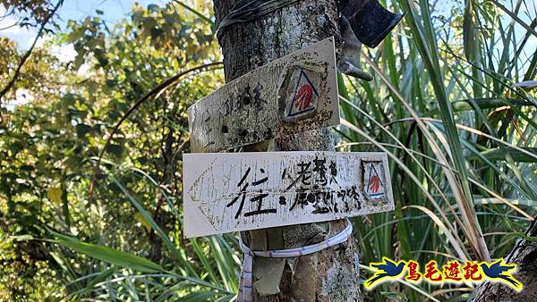 汐止八連小溪環峰連走 (67).jpg