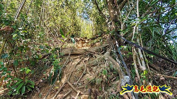 汐止八連小溪環峰連走 (71).jpg